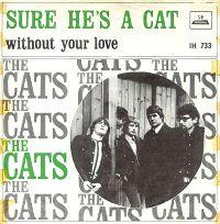 Cats